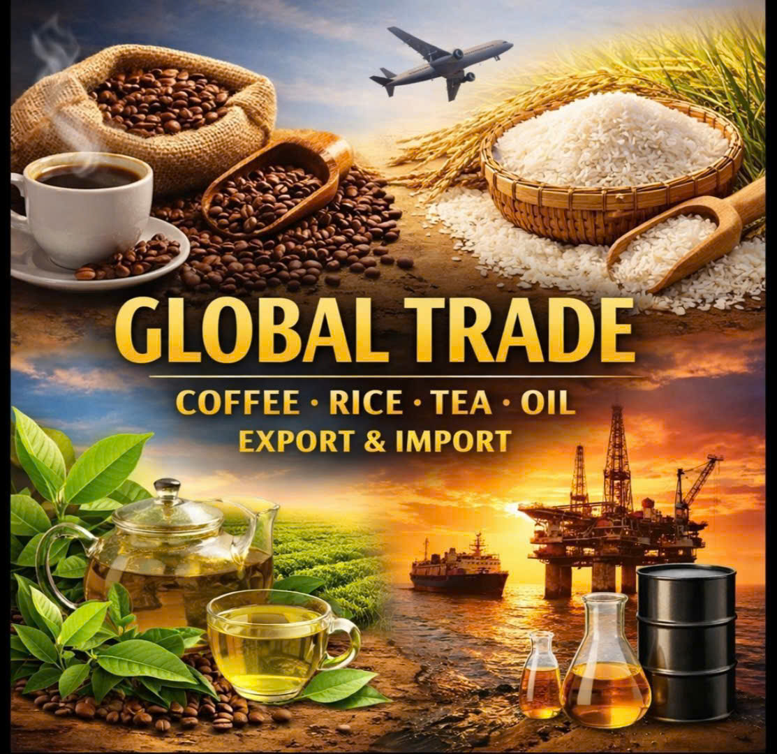 BGTH Institute – international partners